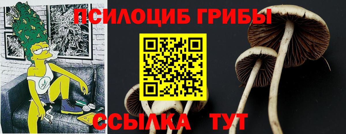 Галлюциногенные грибы Cubensis Искитим