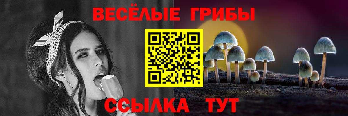 Псилоцибиновые грибы Psilocybine cubensis  Вход с VPN  Искитим 